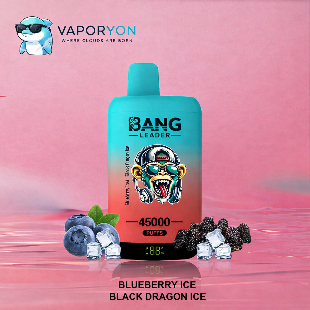 Bang Leader 45000 - Vaper Desechable