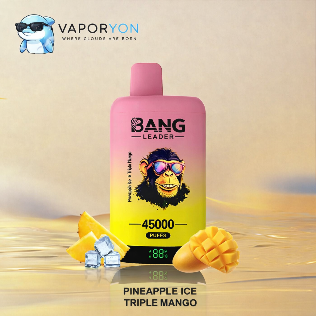 Bang Leader 45000 - Vaper Desechable