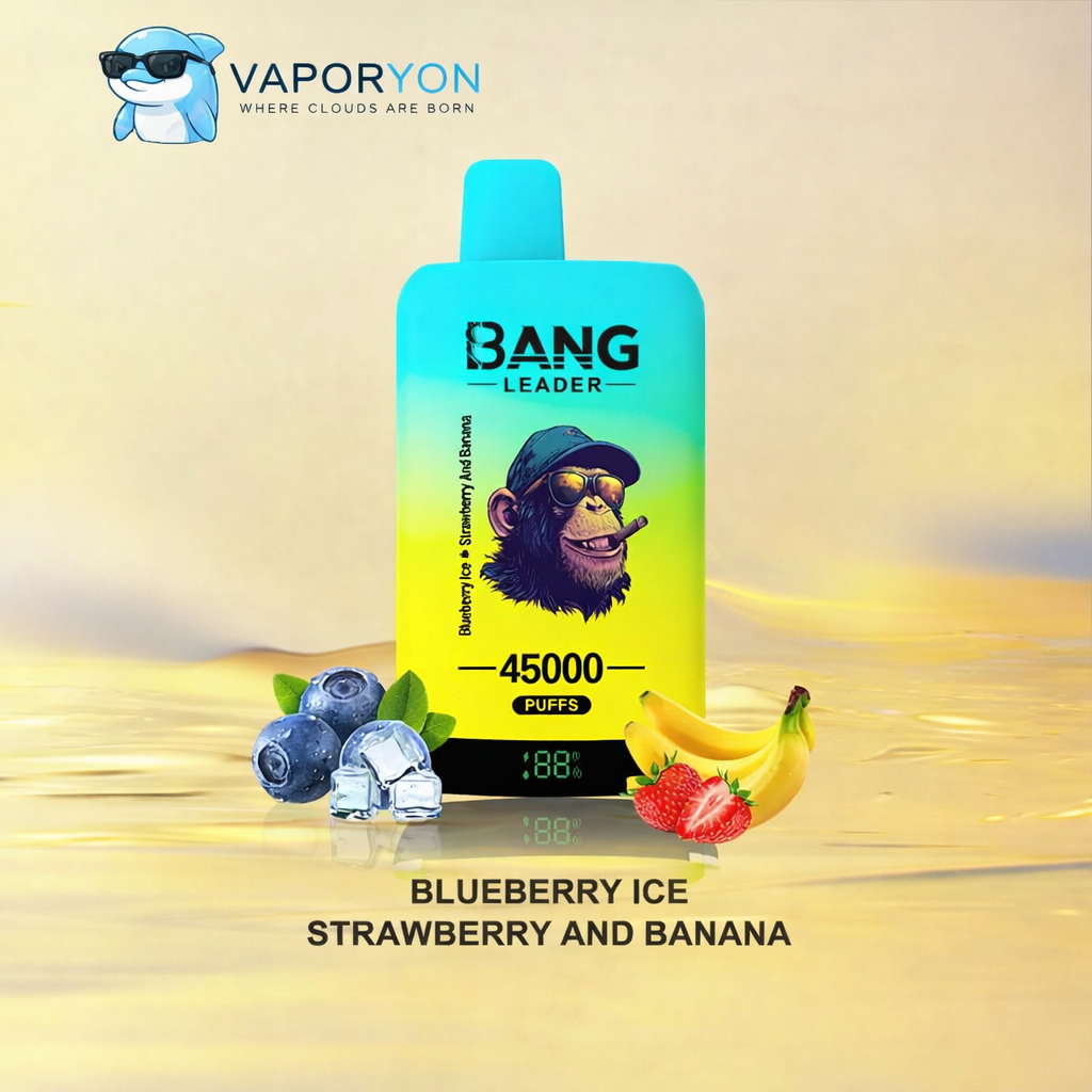 Bang Leader 45000 - Vaper Desechable